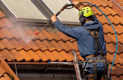 Démoussage et hydrofuge de toiture à Cabidos